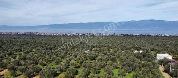 Eu Gayrimenkul'den Taylıelinde Yolu İzni Alınmış 454 M2 Arazi