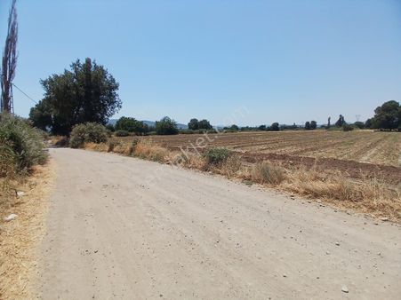 Eu Gayrimenkul'den Balıkesir Burhaniye Kızıklı'da Yola Cephe 13.105 Metrekare Tarla