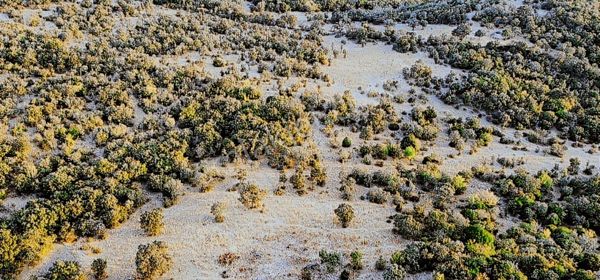 Eu Gayrimenkul'den Çanakkale Ayvacık Paşaköy'de 38 Dönüm Tarla Ve Palamutluk