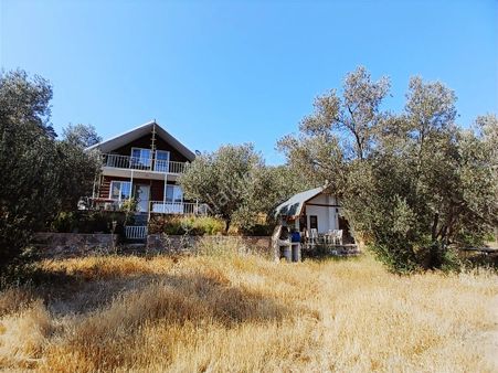Eu Gayrimenkul'den Çanakkale Ayvacık Kayalar Köyünde İçinde Yapı Olan Deniz Manzaralı Zeytinlik