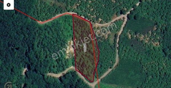 Trabzon Ortahisar Yeşilbük'te 3791m2 Satılık Tarla