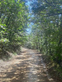 Biga Bezirganlar'da Tek Tapu Satılık Fırsat Tarla