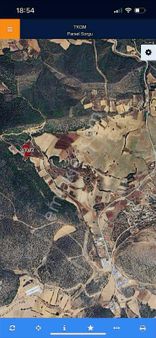 Yatırımlık Tarla Bilecik Osmaneli