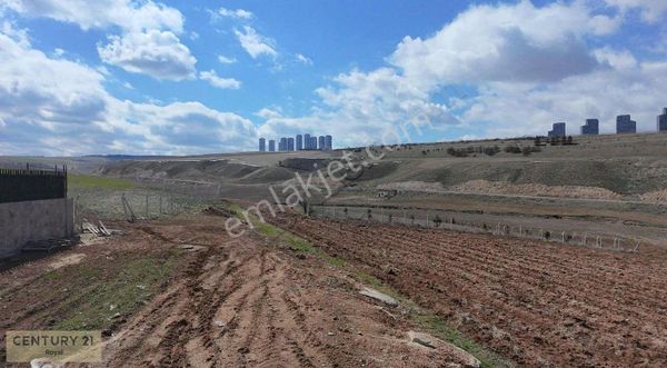 Century 21'den Hacılar İmar'da 1500m2 Villa Parseli