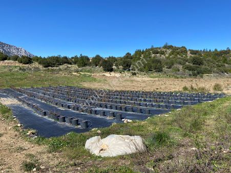 Antalya Aksu Kayadibi Satılık 15.167m2 Tarla