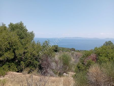 İzmir Karaburun Anbarseki'de 193 M2 Hisseli Tarla