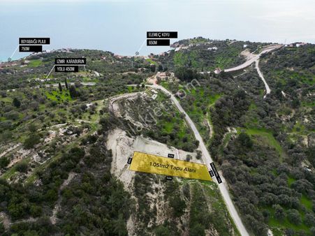 Karaburun Kösedere'de Asfalt Yola Cepheli Deniz Manzaralı Tarla