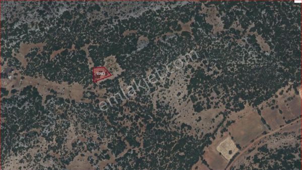 Asya Evim Emlaktan Çanaklı Köyünde Satılık 2 Adet Tarla