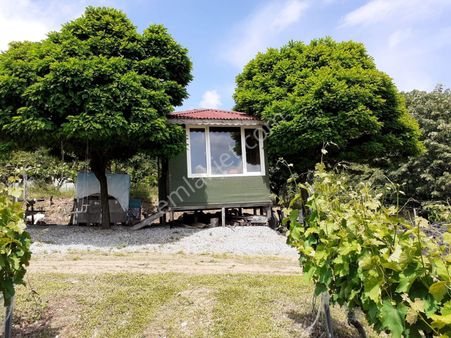 Kırklareli Pınarhisar Yenice De 4600 M2 Satılık