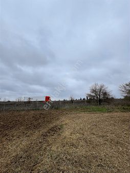 Ergene Bakırçada 2 Parça Satılık Tarla Fırsat Yatırımlık