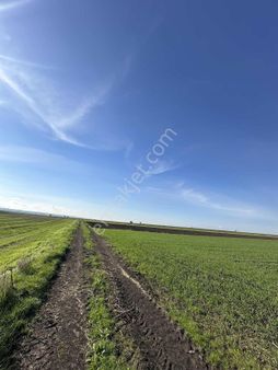 Ergene Esenler Köyü Yatırımlık Tarla