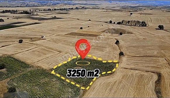 Balıkesir Şamlıda 3.250m² Yatırımlık Tarla