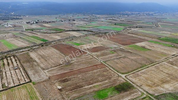 Balnova Dan İvrindi Gökçeyazı Orta Mah 3485 M2 Satılık Tarla