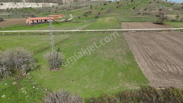 Balnovadan Bigadiç Işıklarda 4.892 M2 Çiftlik İçin Uygun Tarla