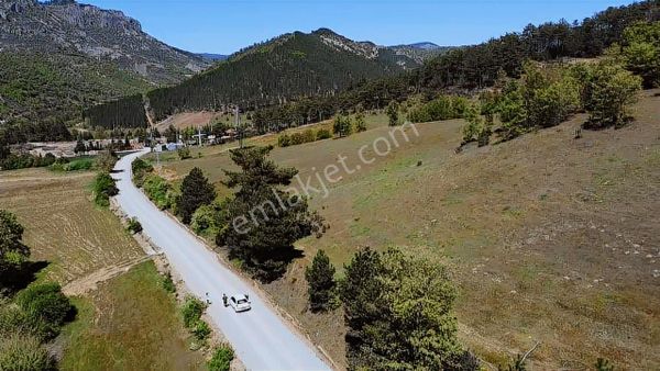 Balnova Dan Balıkesir Sındırgı Kürendere De Satılık Tarla