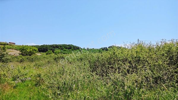 Hallaçlı Köy Merkezinde Fırsat 1250 M