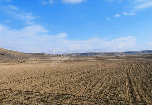Nevşehir Kaymaklı Da Resmi Yol Cepheli Tarla