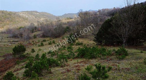 Hacıselli Köyünde Deniz Manzaralı 3 Dönüm