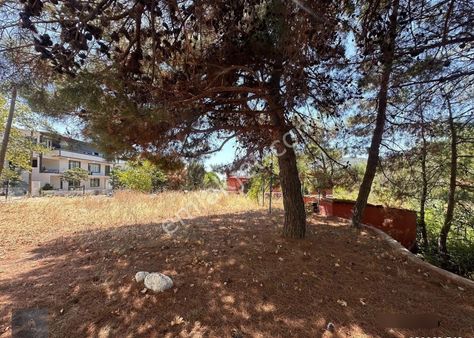 Mera Emlaktan Çamcı Asfaltı Cepheli 6 Villalık 818m2 İmarlı Arsa