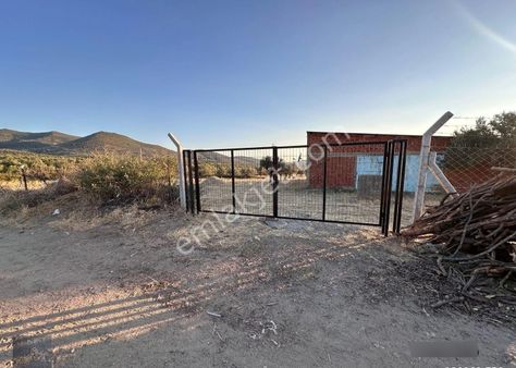 ▀mera Emlaktan Kızıklı Mevki 8.550 M2 İmarlı 27.160 M2 Zeytinlik