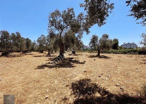 ▀▄mera Emlak'tan Akçay Mh Denize Yakın 661m2 Satılık İmarlı Arsa