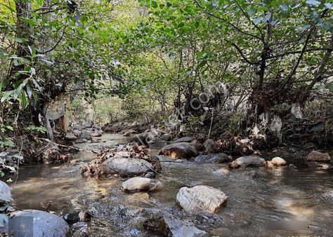 ▀▄mera Emlaktan Tuzcumurat Mah. Dereye Cephe Emsalsiz Zeytinlik