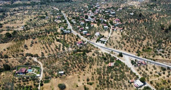 Mera Emlaktan Hacıarslanlar Köyü Asfalt Cepheli 1065m2 Zeytinlik