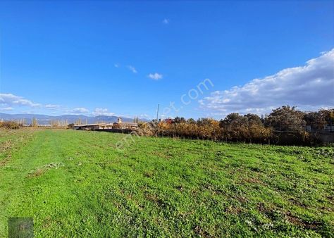 ▄▀mera Emlaktan Edremit Çıkrıkçı Ovasında 7479m2 Satılık Tarla