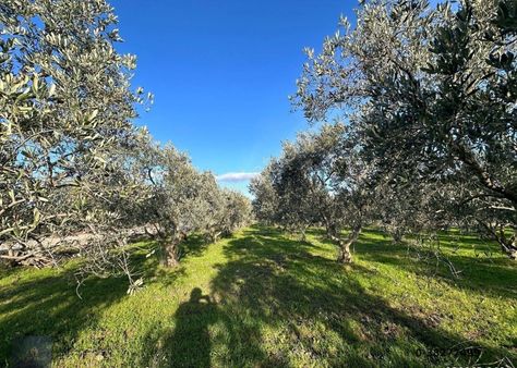 ▀▄mera Emlaktan Çıkrıkçı Köyü 8 Dairelik 4 Kat İmarlı 227m2 Arsa