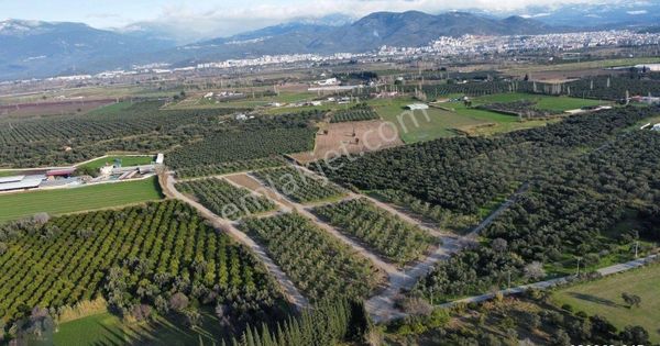 Mera Emlaktan Çıkrıkçı Mevki %40 4 Kat İmarlı 8-12 Dairelik Arsa