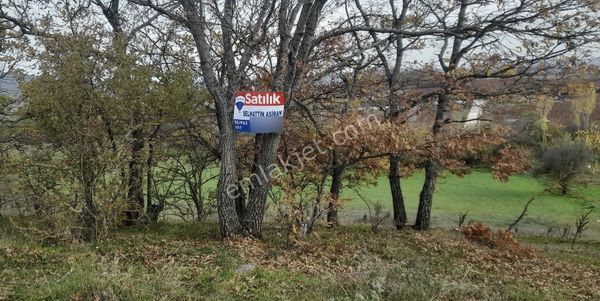 Re/max Selhattin'den Bilecik Pazaryeri Çarşı Mahallesinde Tarla