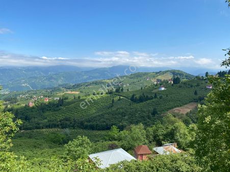 Trabzon Mağmat Boğazında Satılık 6.230m² Muhteşem Bir Arsa