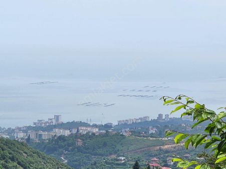 E&d Gyo'dan Trabzon Kavala'da Satılık 1050 M² Manzaralı Arsa