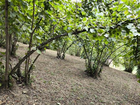 E&d Gyo'dan Trabzon Yeşilyurt'ta Satılık 2.000 M² Arsa