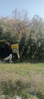 Adalet Gold Group Emlak'tan Satılık Tarla 358 M2 Ahırlı Uygun Fiyata