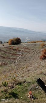 Adalet Gold Group Emlak'tan Şeyhler Küyünde Satılık Tarla 14.000 M2