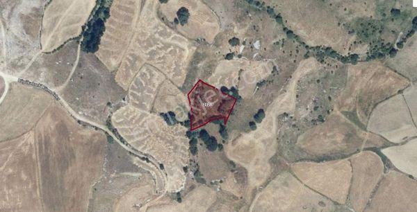 Çankırı Yapraklı Büyükakseki, Eldivan Saray (2.236m2 Ve 325m2)