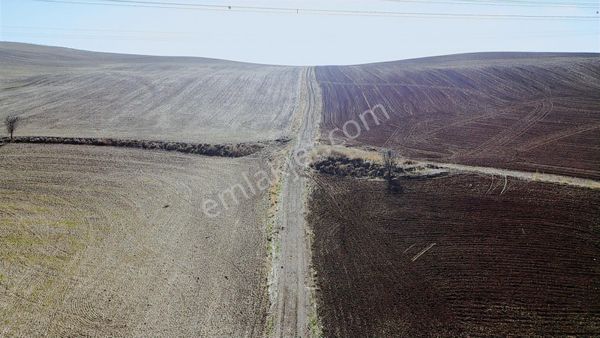 -- **teberik De Yol Kenarı İster Yatırımlık İster Bahçelik--**