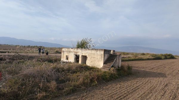 Aydın Söke Akçakaya'da 15.322 M2 Tek Tapu Pamuk Tarlası Satılık