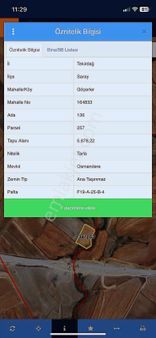 Acil Satılık Tarla Saray Göçerlerde Hızlı Tren Hattına Cephe