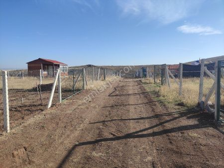 Peçenekte Satılık 280 M2 Arsa Hisse Tapulu Tel Örgülü