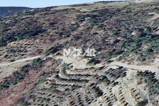 Alanya Yaylakonak’ta 296 M² Satılık Tarla