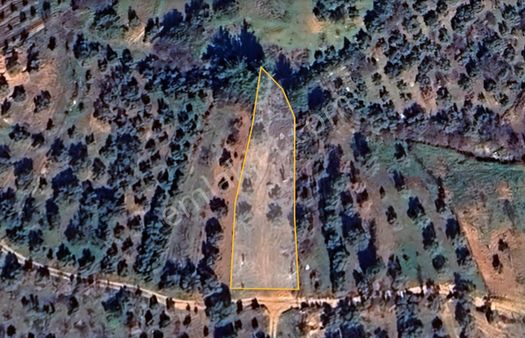 S-a-k-a-l-l-ı-d-a-n Aydın Bozdoğan Körteke Köyünde Satılık Tarla