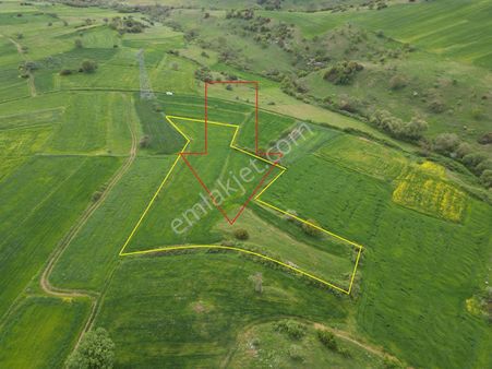 Esa Gayrimenkul'den Ovacık 'da Tarla