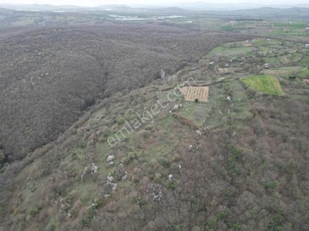 Esa Gayrimenkul'den Yaylabayır' Da Bağ