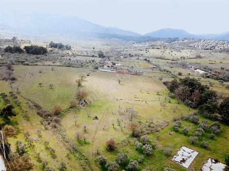 Kemalpaşa Yukarıkızılca Villalar Bölgesi 8.5dönm Evi Olan Çiflik