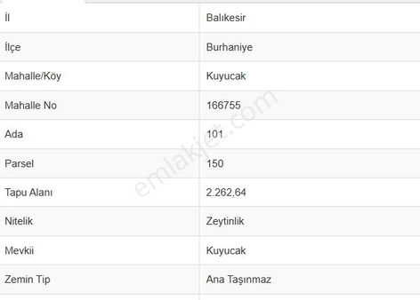 Burhaniye Fırsat Zeytinlik