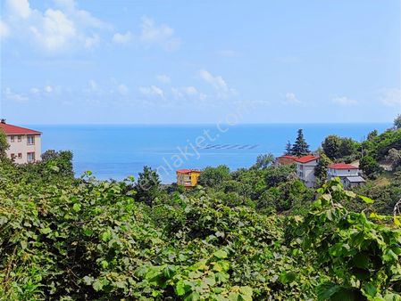 E.g.a Gayrimenkul 3 Dönüm Kumbaşı Deniz Görüyor