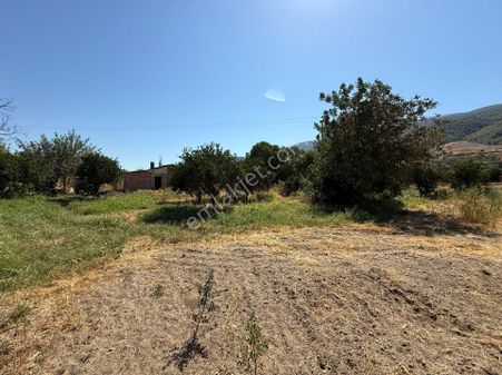 Pirlibey'de Satılık Fırsat 2.800 M2 Bahçe