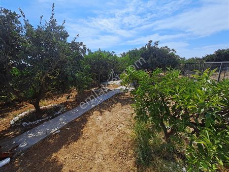 Gümüldür Merkezde Bahceli Konteyner Ev